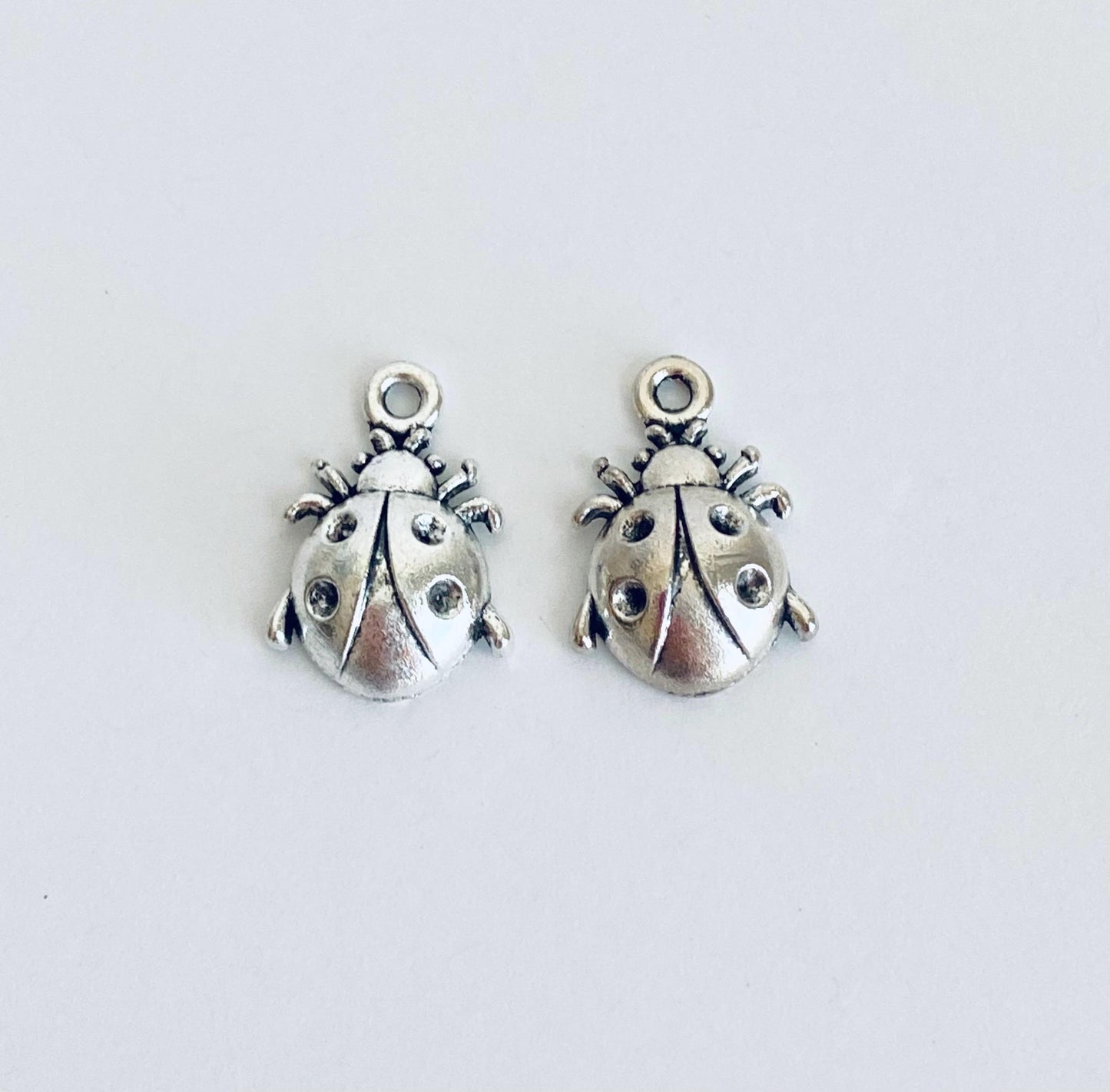 Ladybug Charm