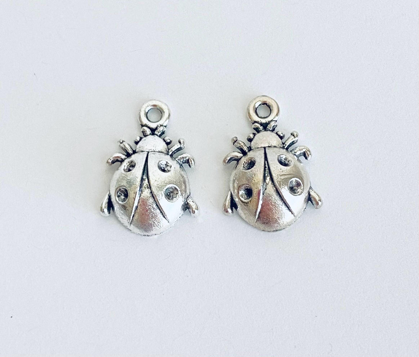 Ladybug Charm