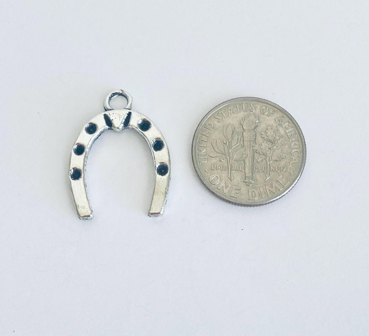 Horseshoe Charm