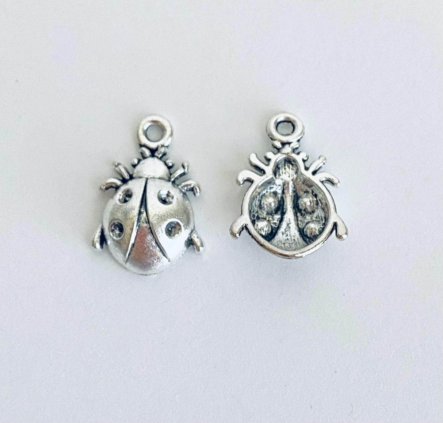Ladybug Charm