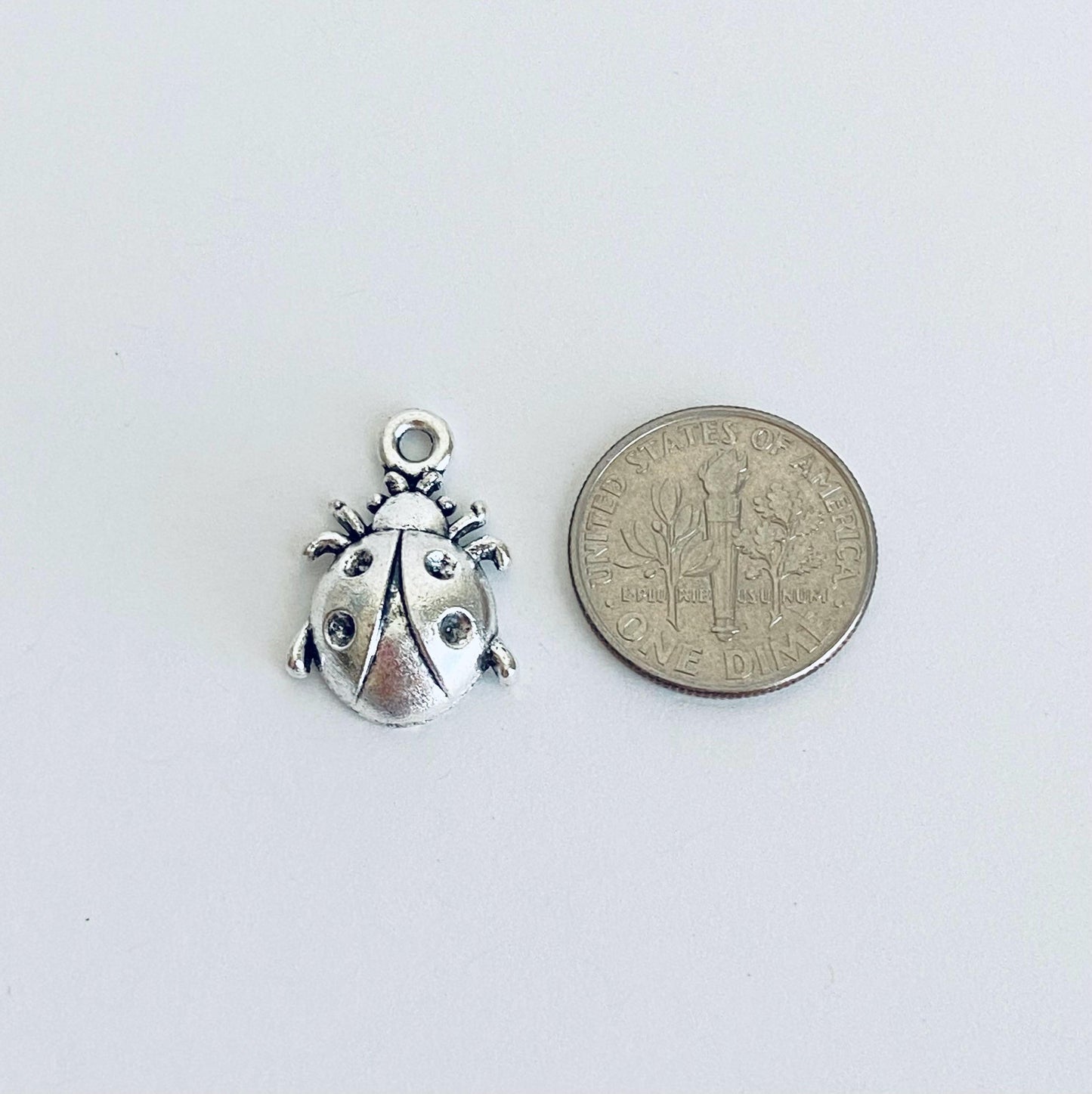 Ladybug Charm
