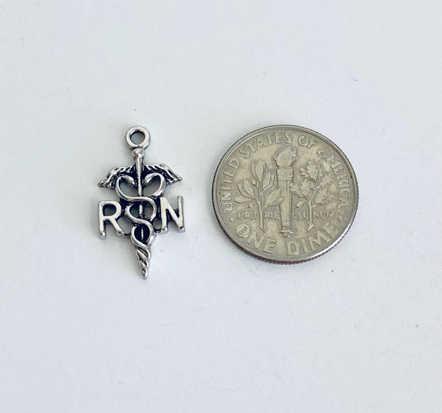 Registered Nurse Charm
