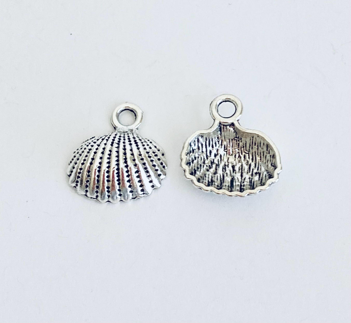 Shell Charm
