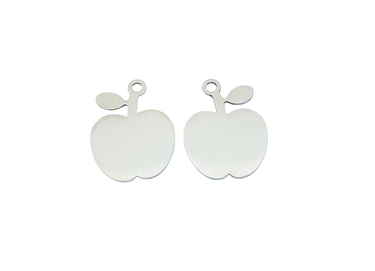 Shiny Stainless Steel Apple Tag Blank • 21mm x 27mm