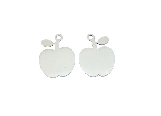 Shiny Stainless Steel Apple Tag Blank • 21mm x 27mm
