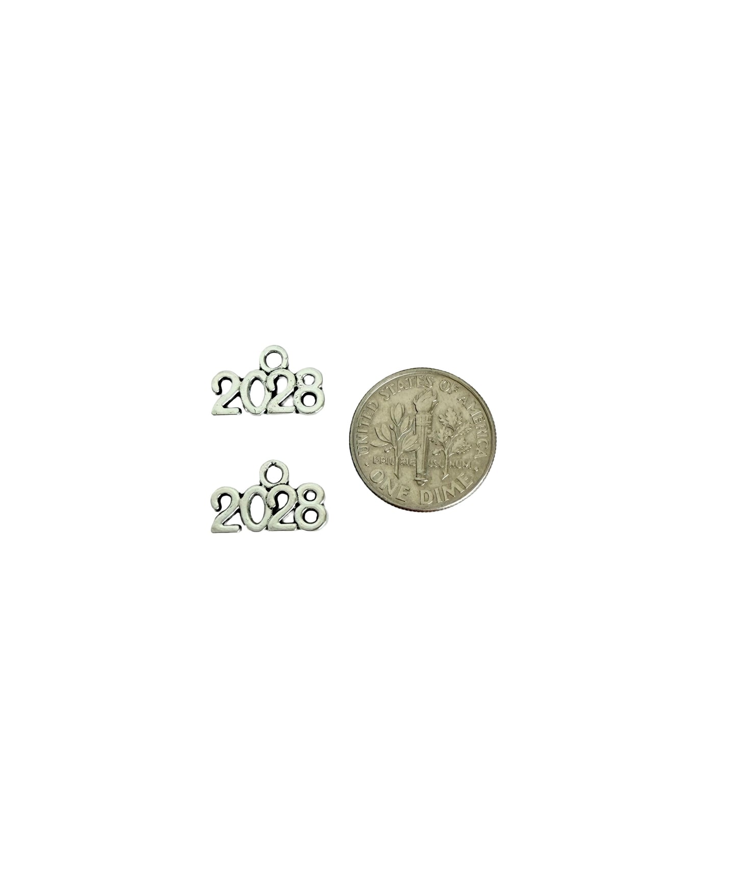Tiny 2028 Charm