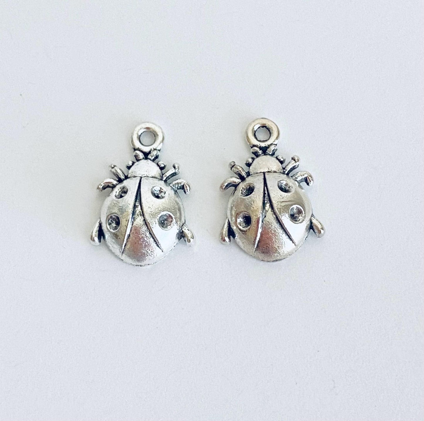 Ladybug Charm
