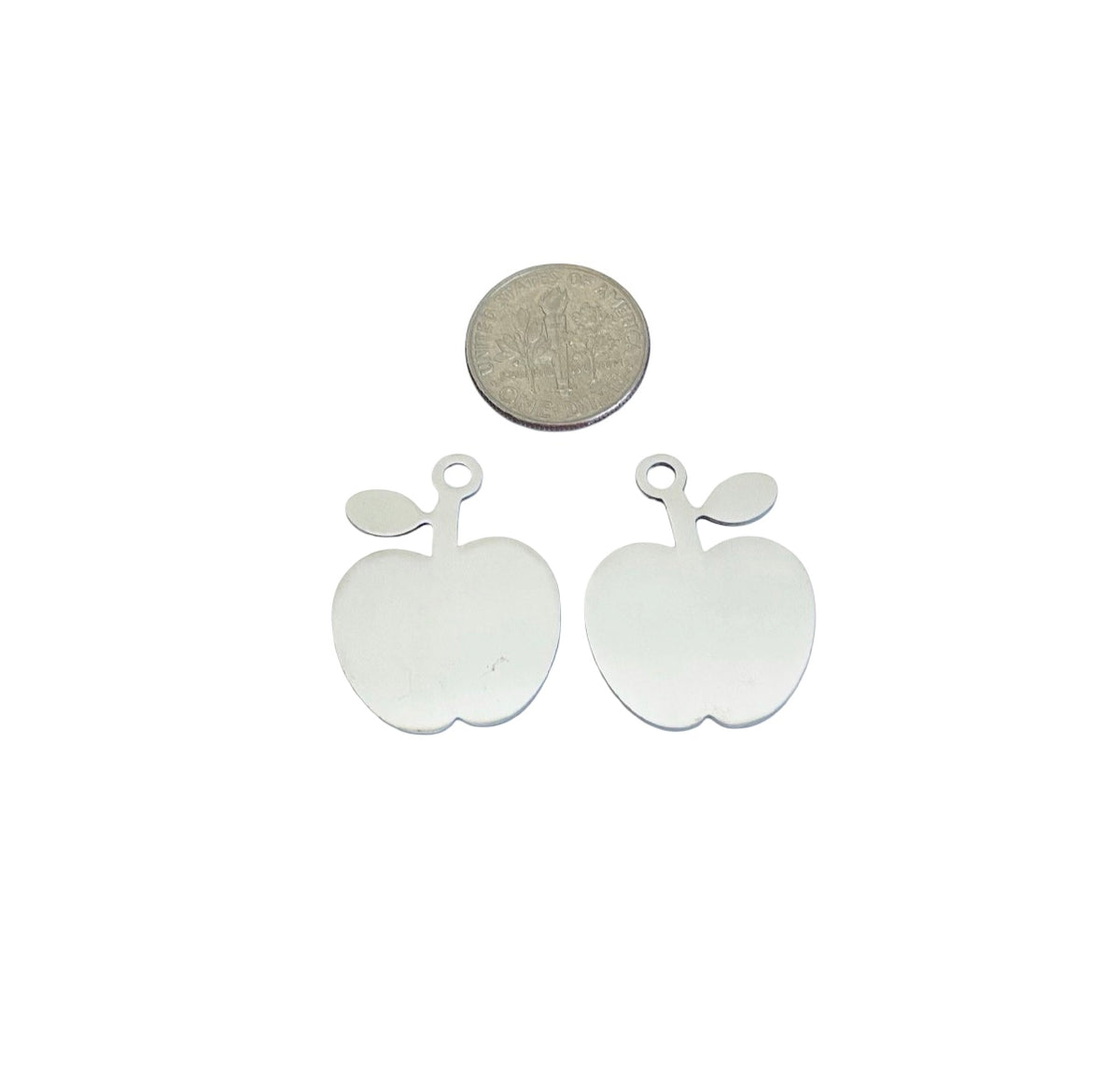 Shiny Stainless Steel Apple Tag Blank • 21mm x 27mm