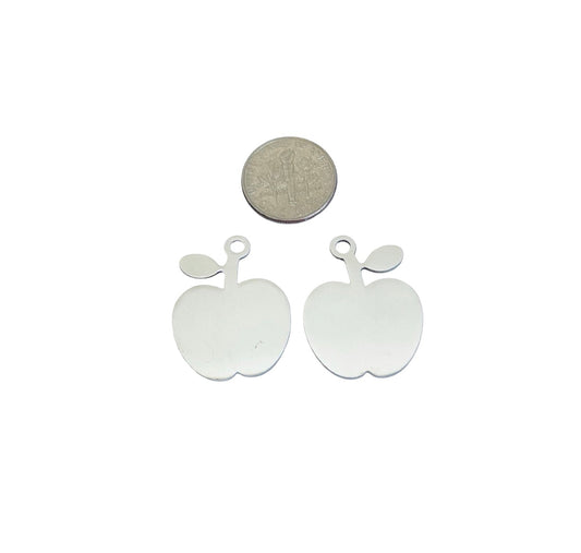 Shiny Stainless Steel Apple Tag Blank • 21mm x 27mm