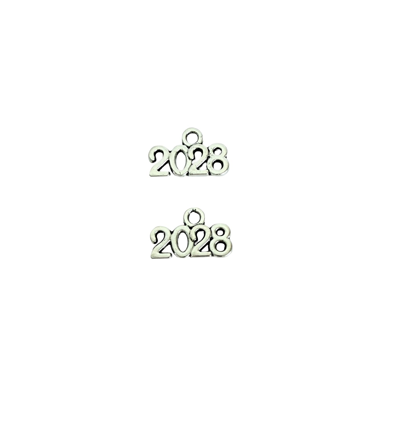 Tiny 2028 Charm