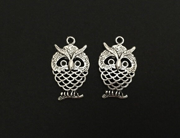 Owl Charm