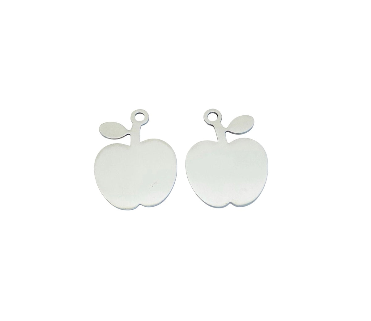 Shiny Stainless Steel Apple Tag Blank • 21mm x 27mm