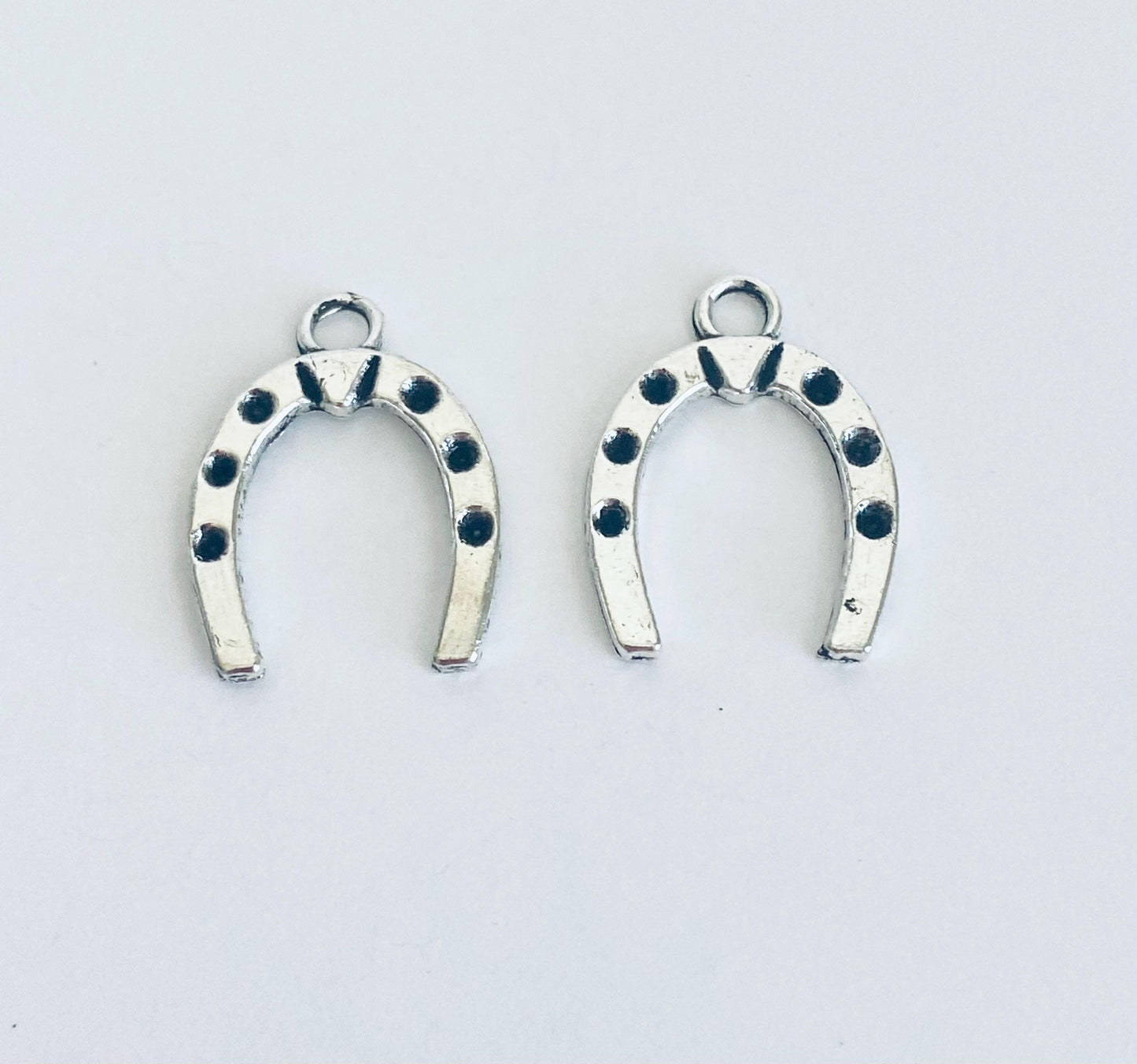 Horseshoe Charm