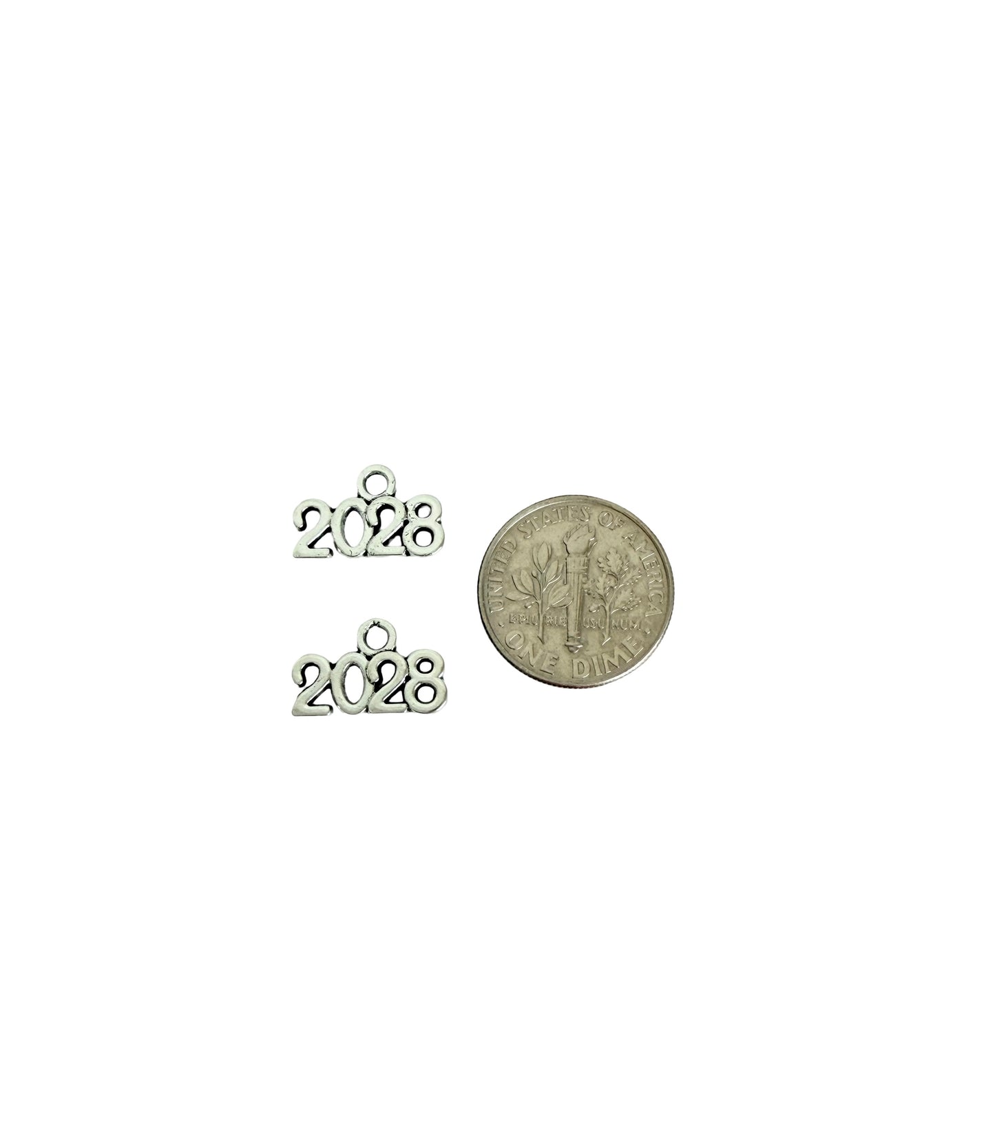 Tiny 2028 Charm