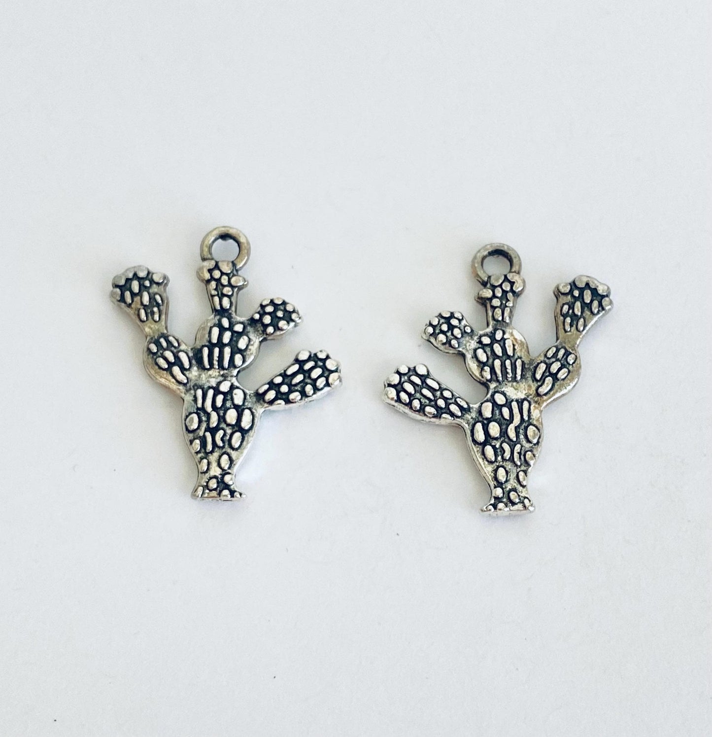 Cactus Charm