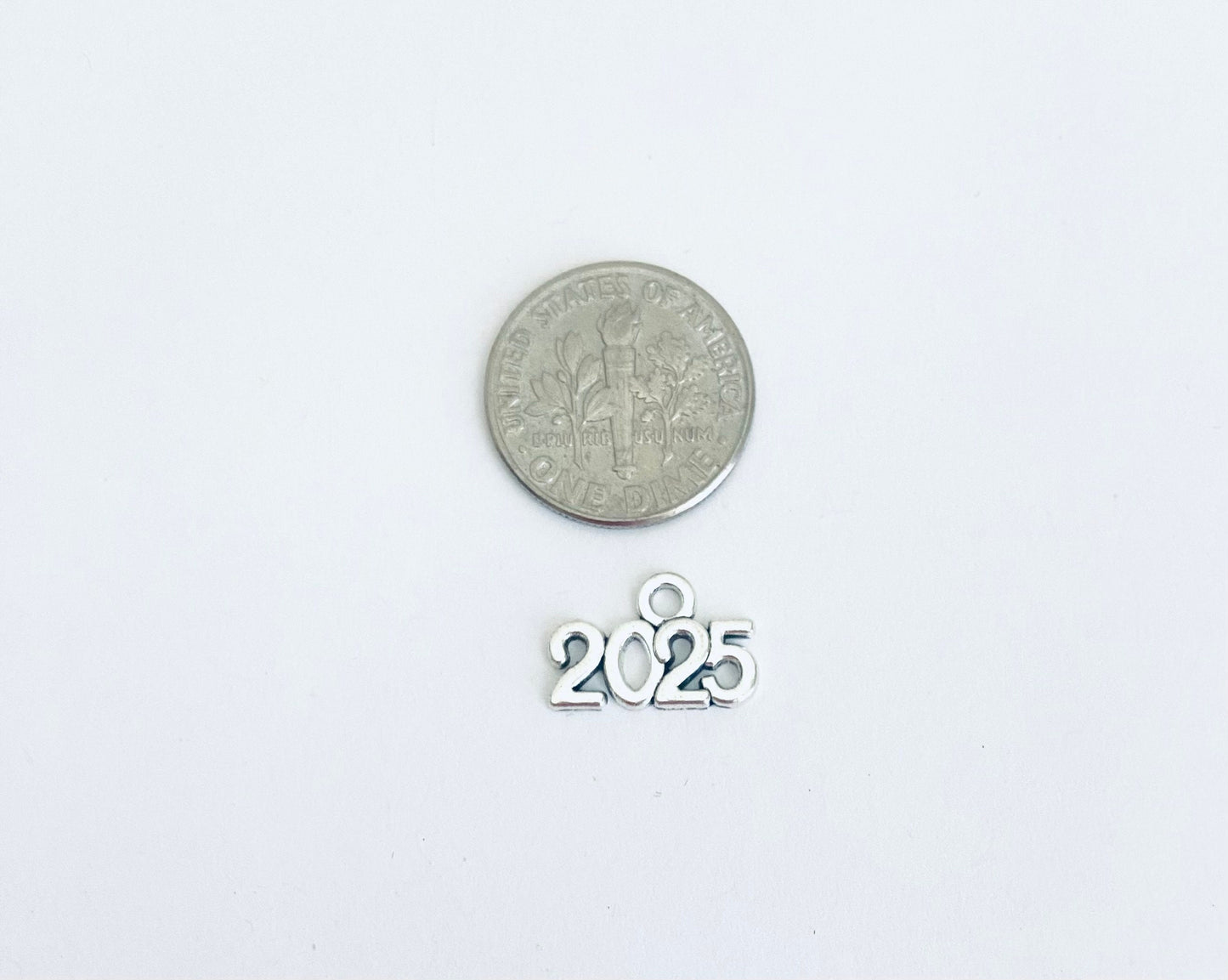 Tiny 2025 Charm