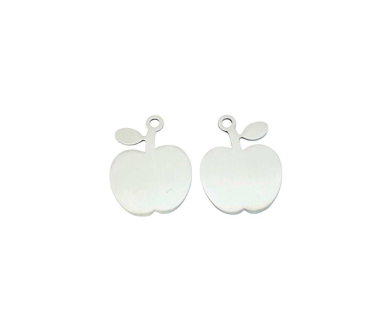 Shiny Stainless Steel Apple Tag Blank • 21mm x 27mm
