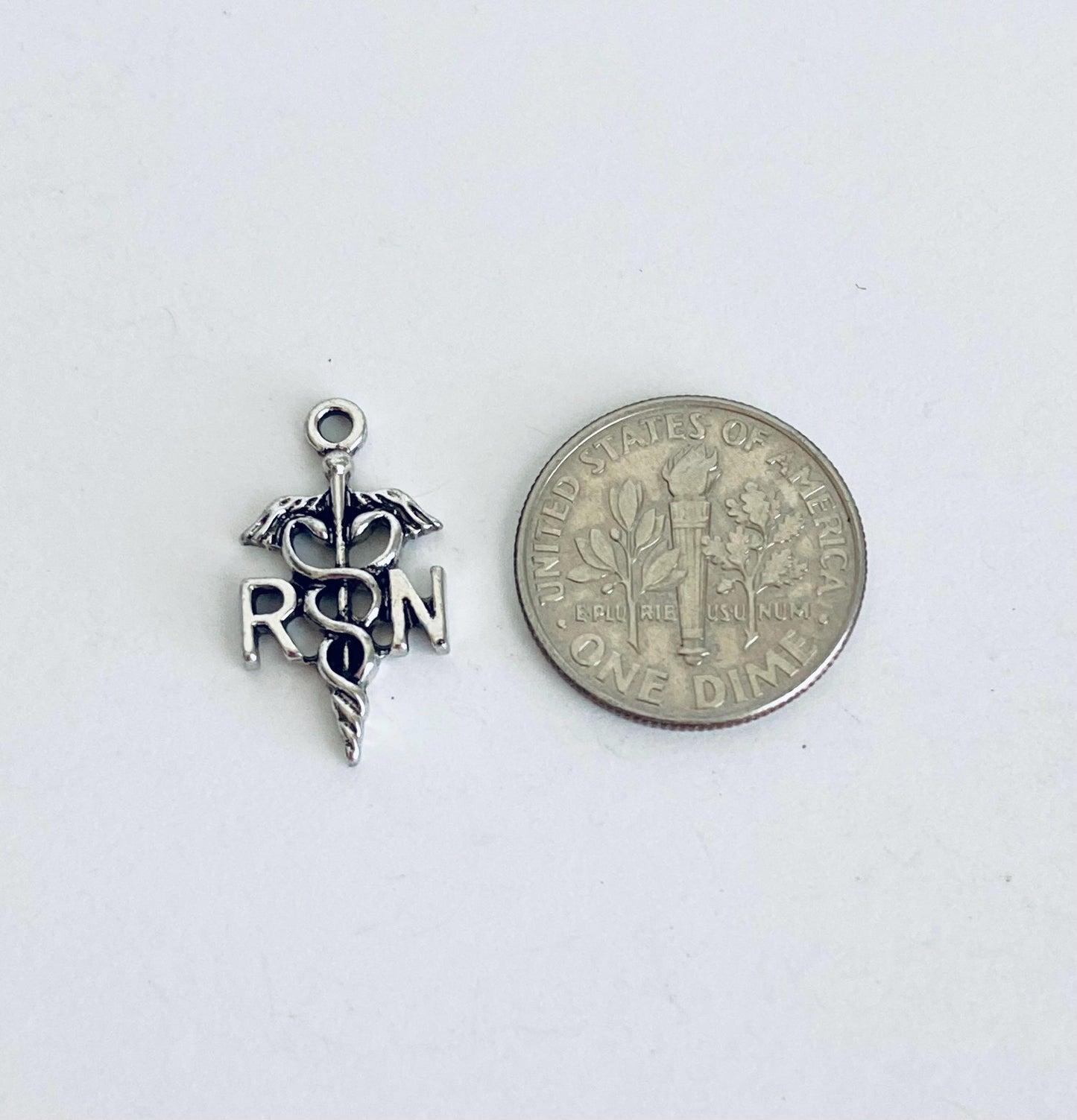 Registered Nurse Charm