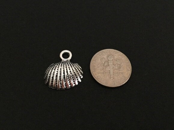 Shell Charm
