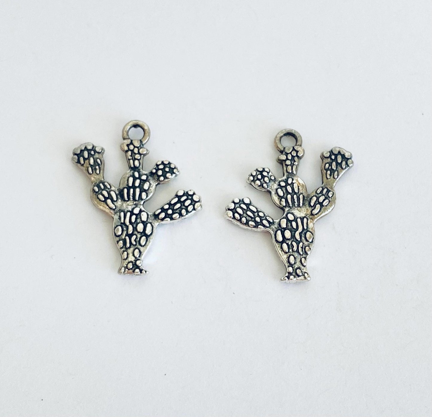 Cactus Charm
