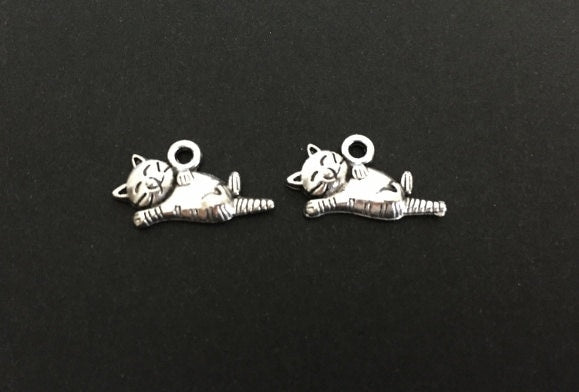 Cat Charm