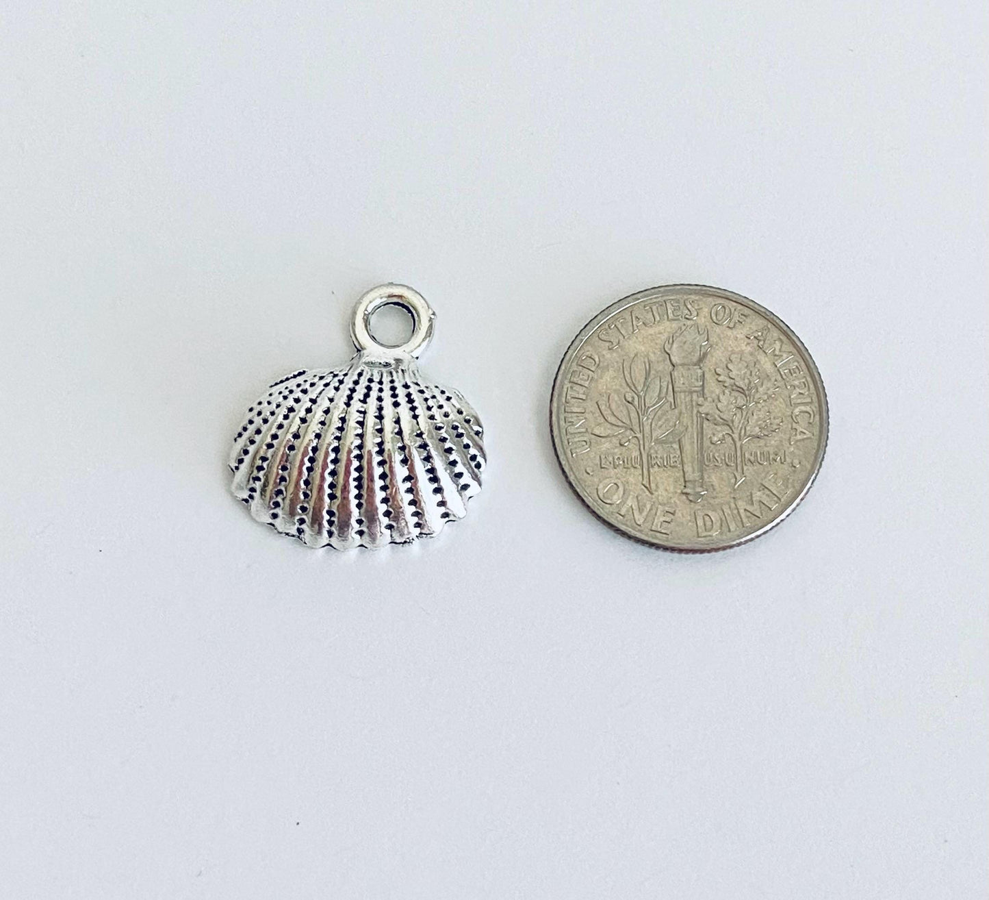 Shell Charm