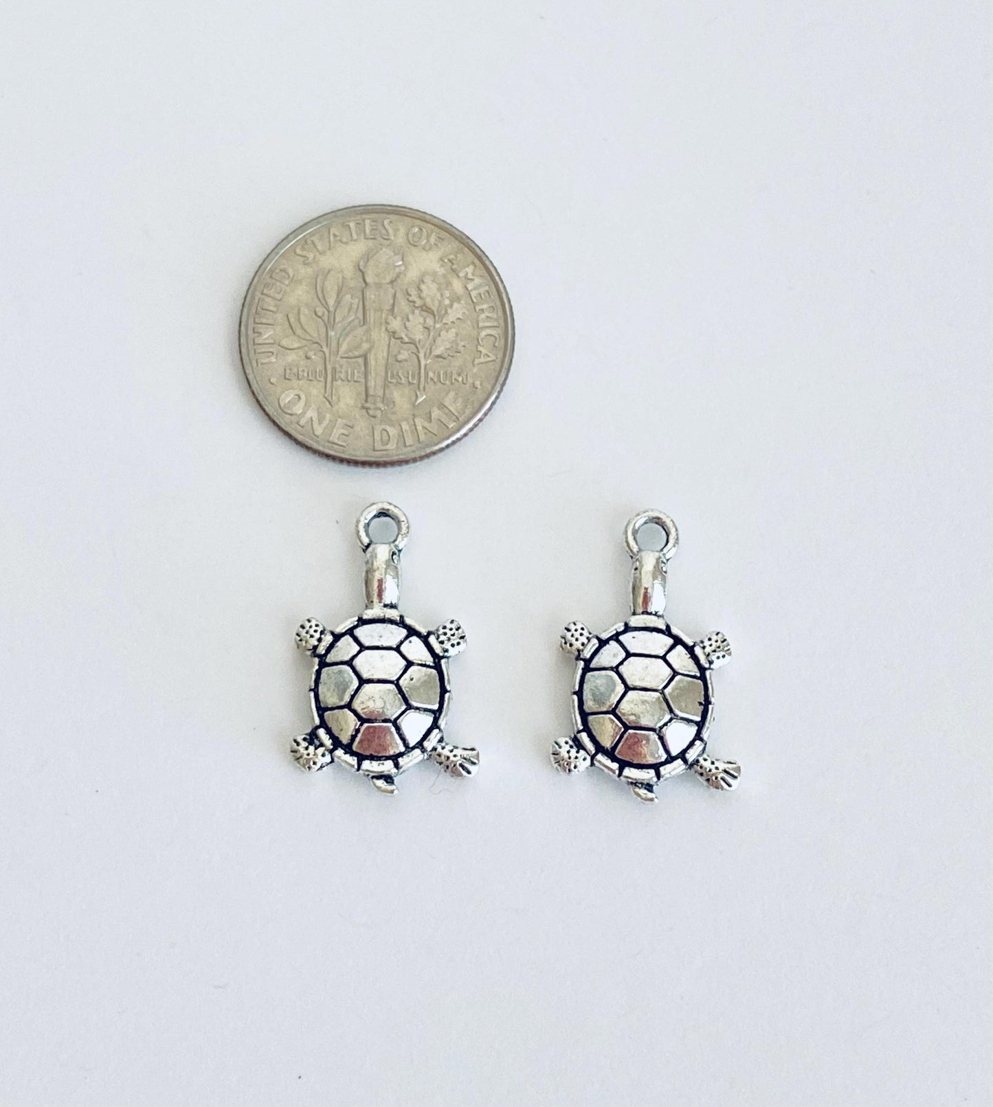 Small Turtle Charm