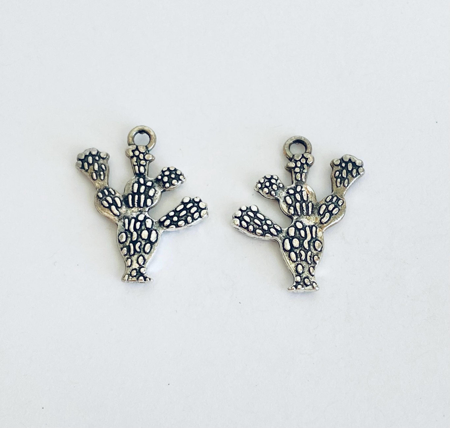 Cactus Charm