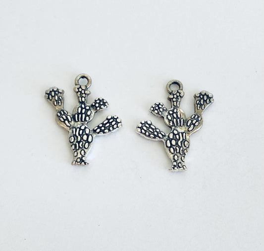 Cactus Charm