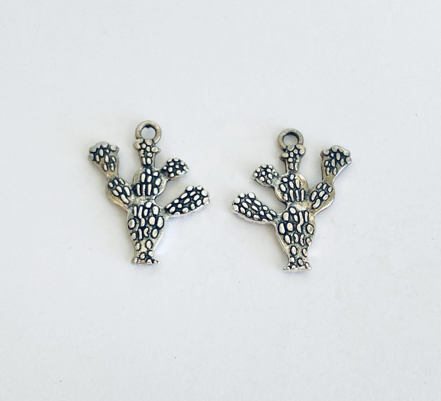 Cactus Charm