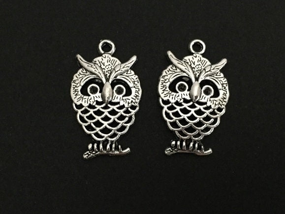 Owl Charm