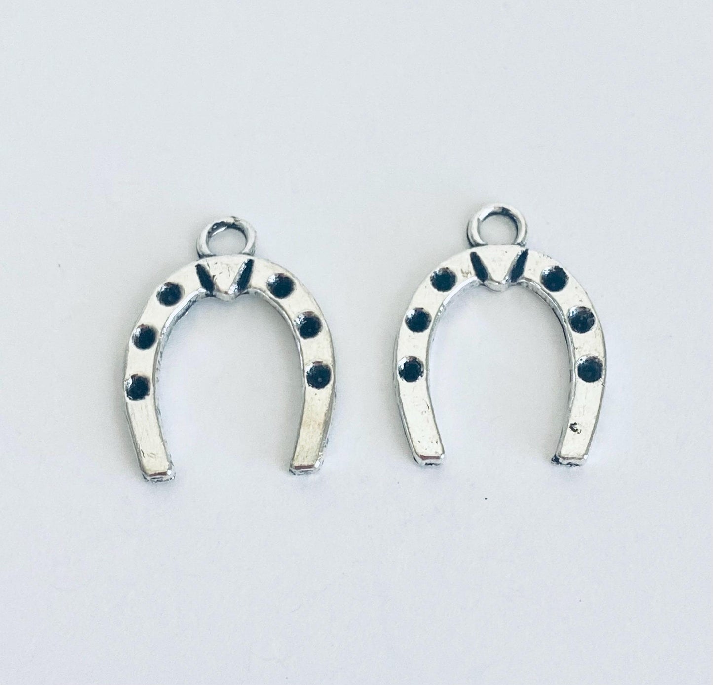Horseshoe Charm