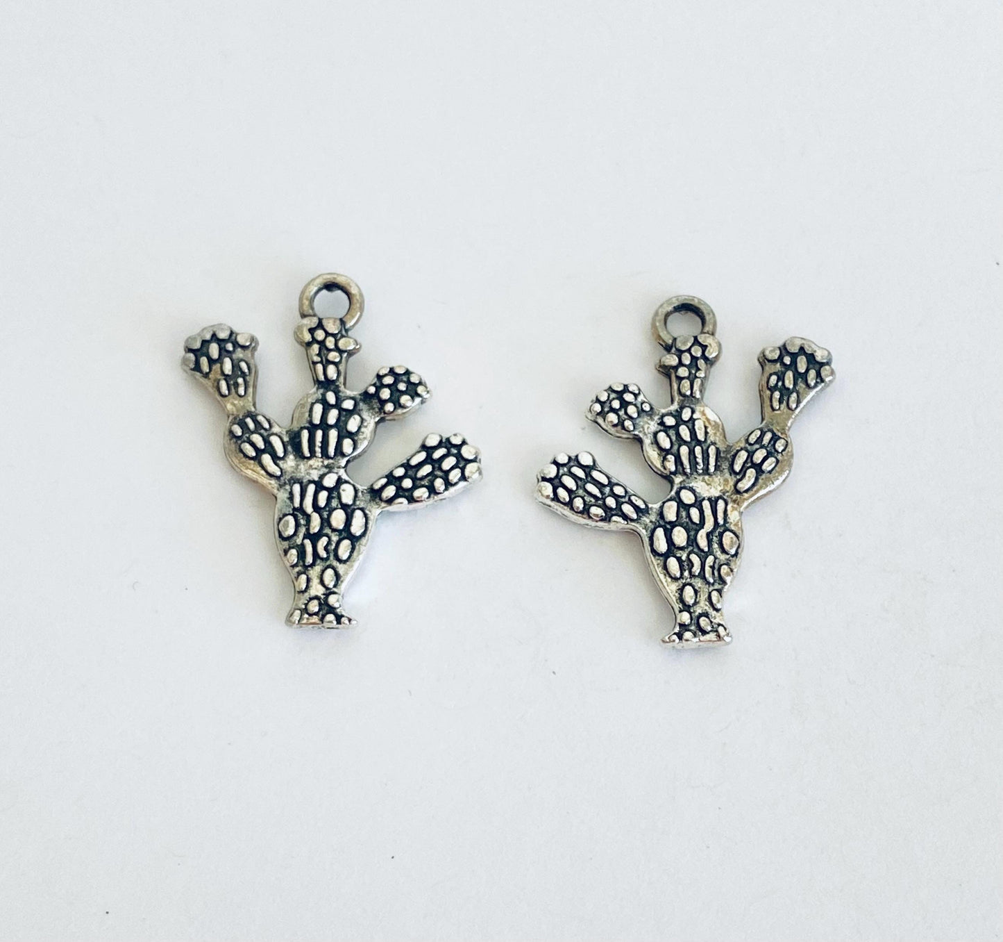 Cactus Charm
